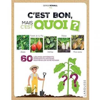 C'est bon, mais c'est quoi ?