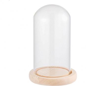 Caja de almacenamiento para flores con diseño transparente