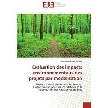 Evaluation des impacts environnementaux des projets par modélisation: Aspects théoriques et études des cas. Quantification pour les inondations et la réutilisation des eaux usées traitées