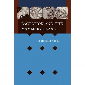 Lactation Mammary Gland