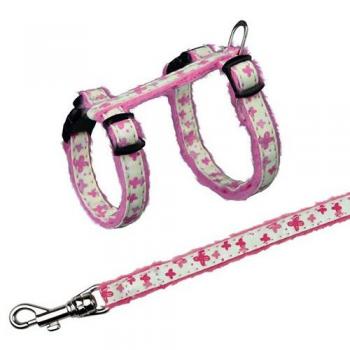 PETT. Gattino Glow in the Dark Con Imbracatura e Guinzaglio (Pack 4)