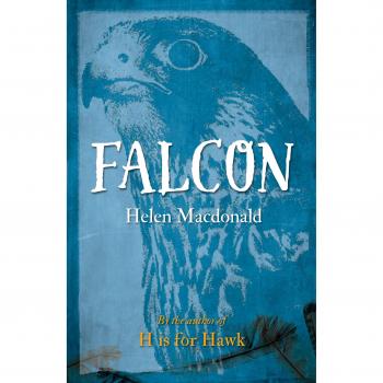 Falcon