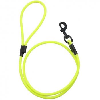 Easy to Clean Dog Leash for Small and Medium Dogs