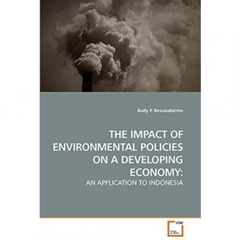THE IMPACT OF ENVIRONMENTAL POLICIES ON A DEVELOPING ECONOMY: