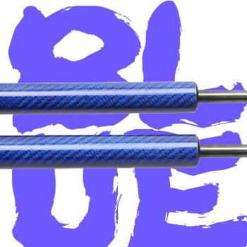 Acura Integra DC2 1994-2001 Gas Struts for Hood