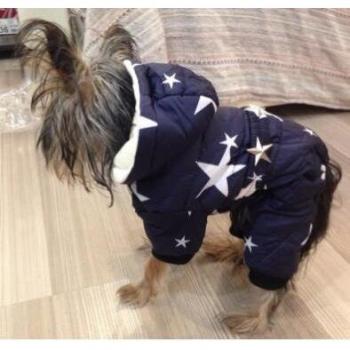 All Stars Dog Jacket for Cold Weather