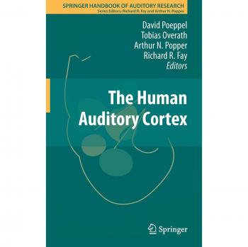 The Human Auditory Cortex
