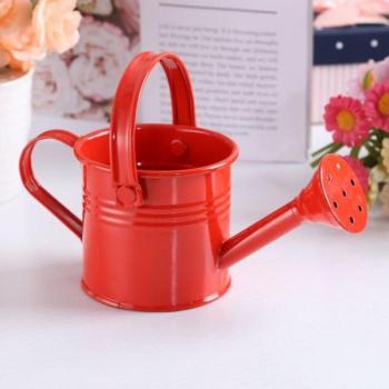 Metal Watering Pot for Plants