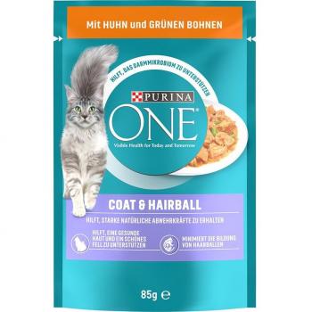 Purina ONE Pelaje y bolas de pelo