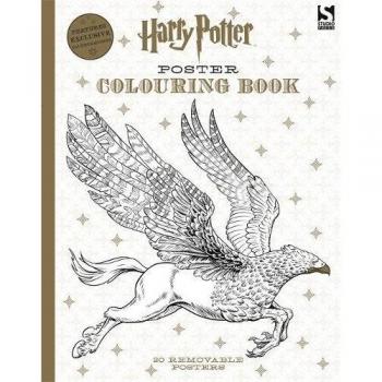 Harry Potter Poster Colouring Book Reviews