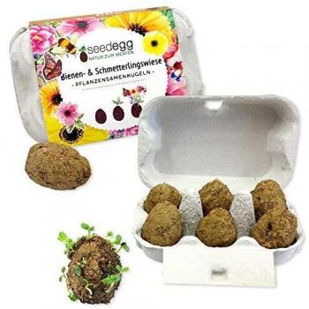 Feel Green Seedegg Lot de 6 Boules de graines de Plantes, fabriquées à la Main, Idée Cadeau Écologique et Responsable, Naturel pour la publicité, fabriqué en