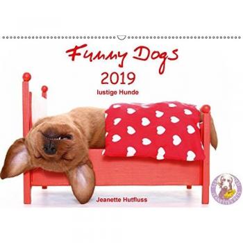Funny Dogs