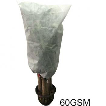 Insect Prevention Plant Cover