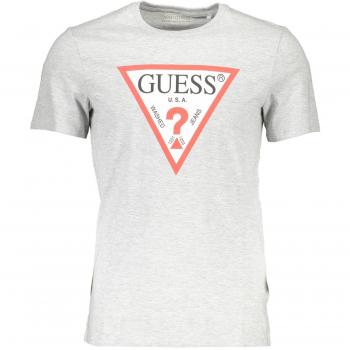 Tee shirt en coton bio à logo imposant – Denim Guess – Homme