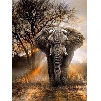 Figured'Art Broderie Diamant – Eléphant dans la Savane