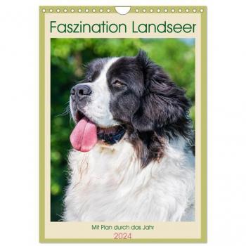 Faszination Landseer