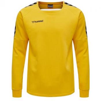 Pullover Hummel hmlAUTHENTIC Training Jaune M male