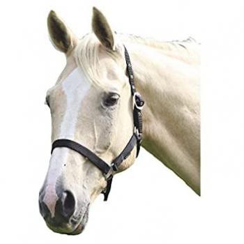 Black Stallion Wessex Headcollar