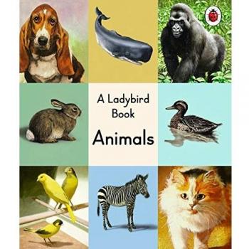 A ladybird book: animals.