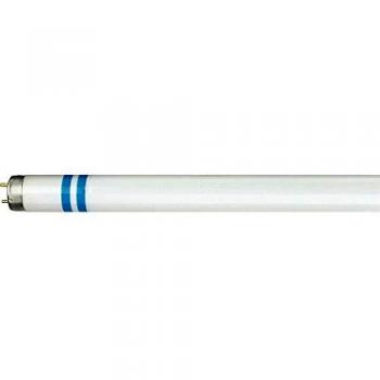 Tubo fluorescente Philips G13 T8 con protezione antischeggia (Philips G13 T8 Antishatter)