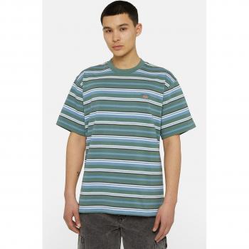 T-Shirt Dickies Homme – Modèle Glade Spring, Manche Courte, Design Polycolor, Fit Normal