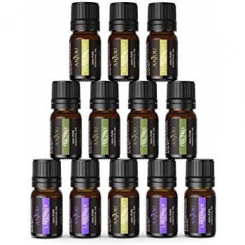 Holistic Harmony Oil Bundle – 12 Pure Therapeutic Blends