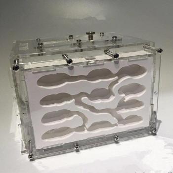 Plaster Ant Farm Display Box