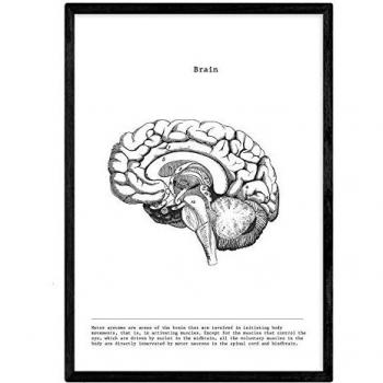 Pósters del Cuerpo Humano en Blanco y Negro