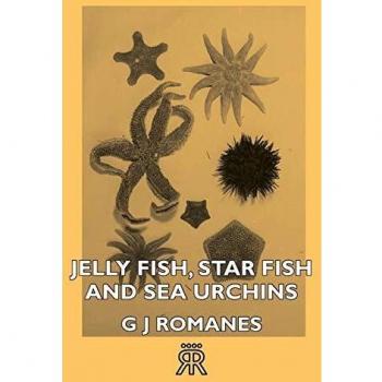 Jelly Fish, Star Fish and Sea Urchins