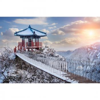 Papermoon Fototapete Winterwald Südkorea
