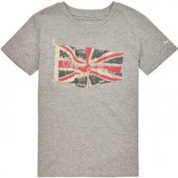 Camiseta Pepe Jeans Flag Logo Jr, color gris, 14 años