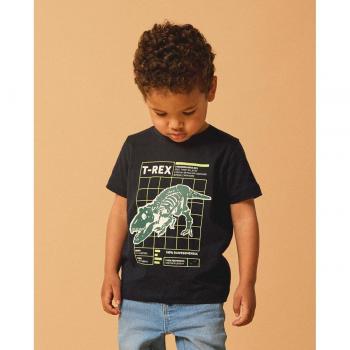 Camiseta Name It Berte Ss