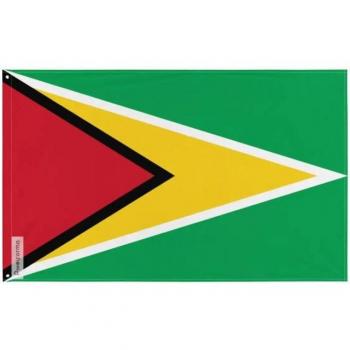 Guyana Flag, 160cm × 240cm