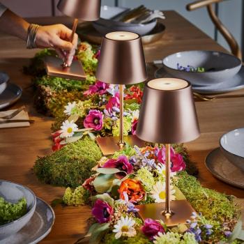 Lampada da Tavolo LED Nuindie Mini 25cm Bronzo