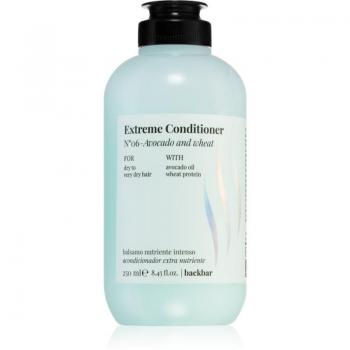 Conditionneur FARMAVITA Back Bar 250ml