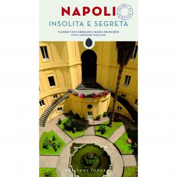 Valerio Ceva Grimaldi Napoli Insolita E Segreta