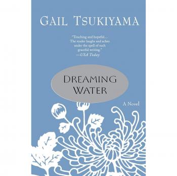 Dreaming Water: A Novel (Paperback)