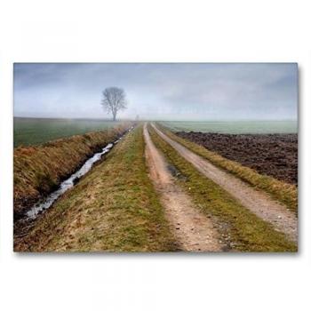 CALVENDO Premium Textil-Leinwand 90 x 60 cm Quer-Format Feldweg