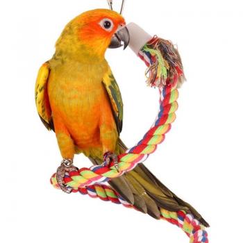 50cm Parrot Swing Toy