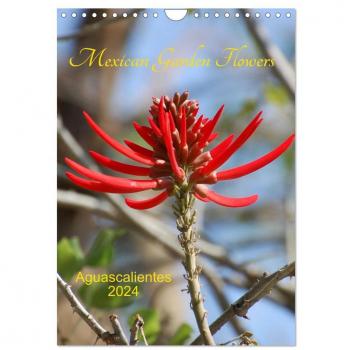 Mexican Garden Flowers