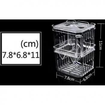 Transparent Fish Hatching Container