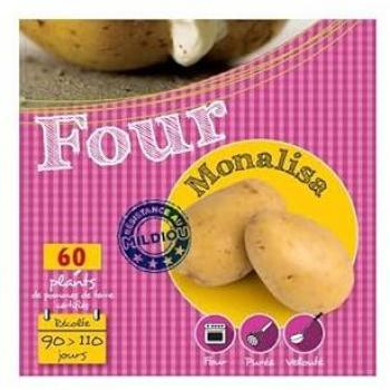 Monalisa 60 Variété de Pomme de Terre