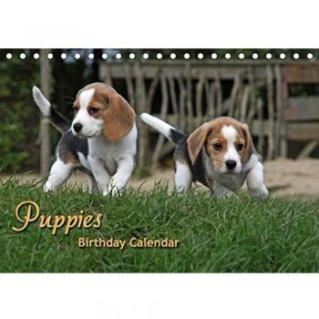 CALVENDO Animals: Puppies Birthday Calendar / UK-Version