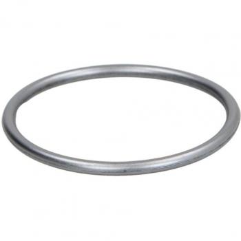 Dichtring BOSCH F 01M 100 114