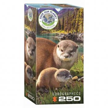 Puzzle Otter 250 Teile von Eurographics