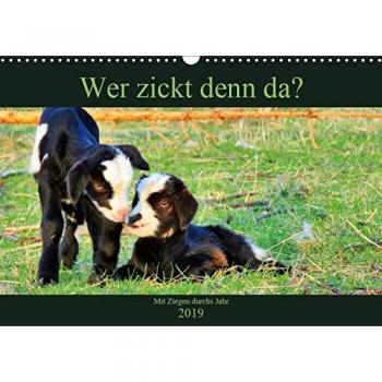 Wer zickt denn da? Mit Ziegen durchs Jahr