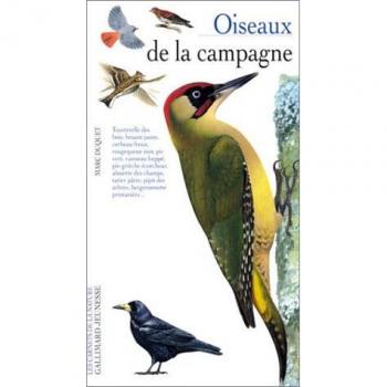 Oiseaux de la campagne Marc Duquet Gallimard-Jeunesse