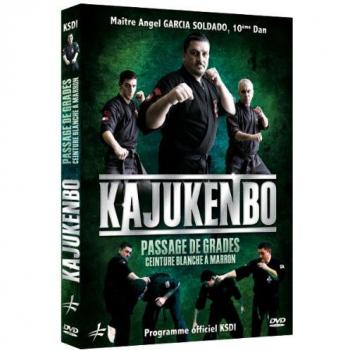 Kajukenbo : Passage de Niveaux