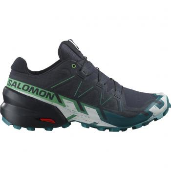 Salomon Speedcross 6 Herren Laufschuhe carbon Blau/Grün