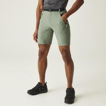 Regatta Xert Stretch III Pantaloni Corti Uomo